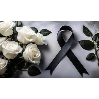 Psicóloga Especialista em Luto